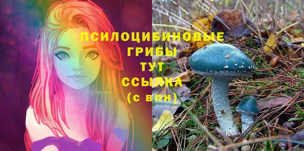 стафф Красноперекопск