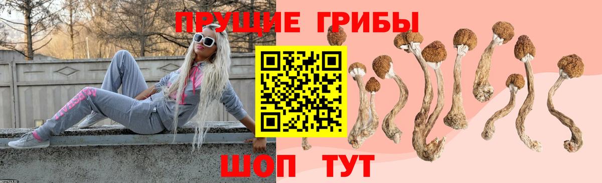 Галлюциногенные грибы Cubensis Краснотурьинск